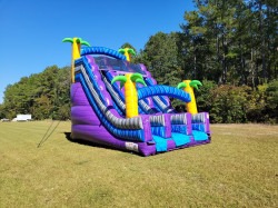 420016974 299536306035594 3426044842057703635 n 1713385489 Tropical 20Ft Double Slide