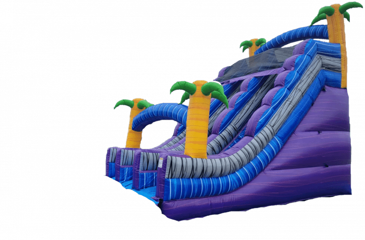 Tropical 20Ft Double Slide