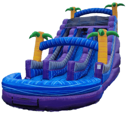 Tropical 20 Ft Double Slide (WET)