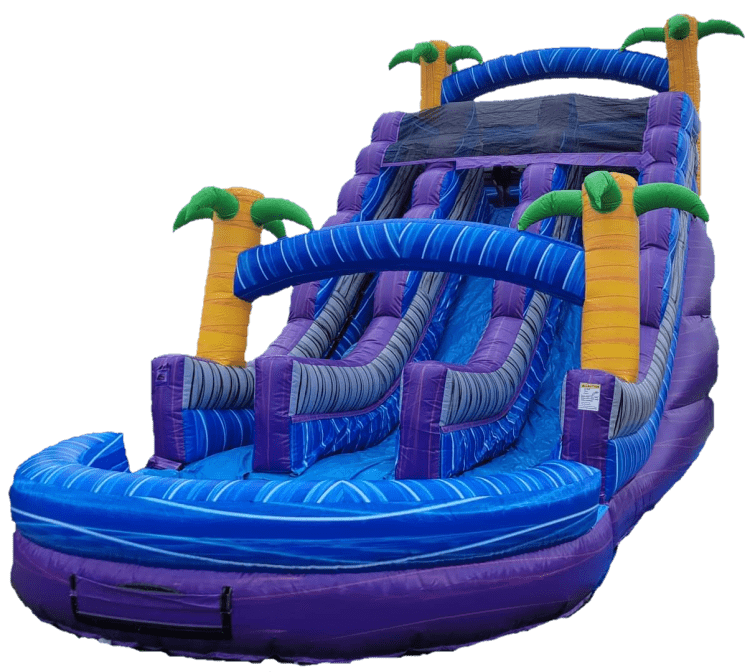 Tropical 20 Ft Double Slide (WET)