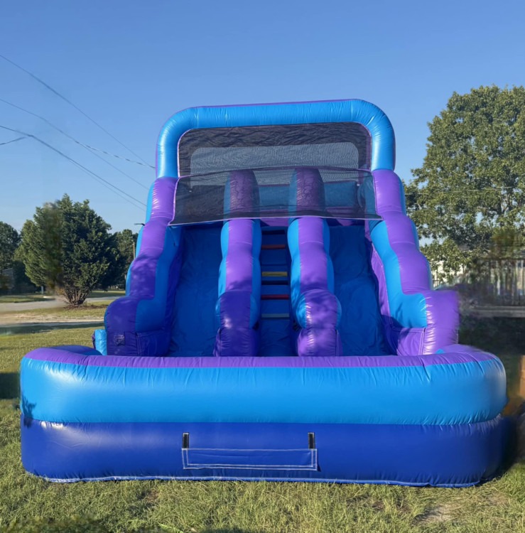 Purple Wave Dry Slide